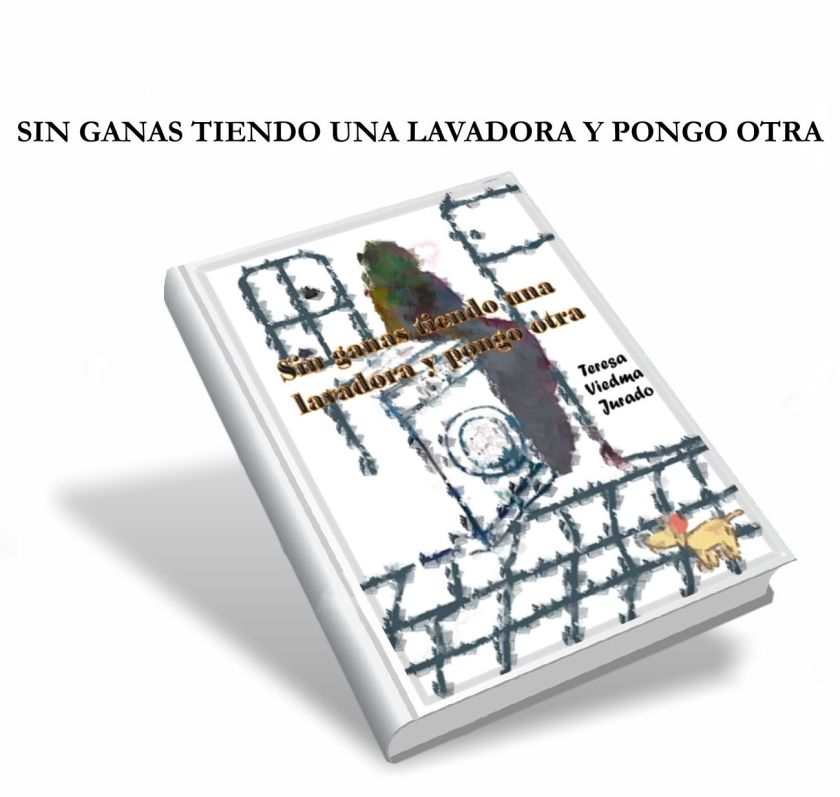 SIN GANAS TIENDO UNA LAVADORA Y PONGO OTRA