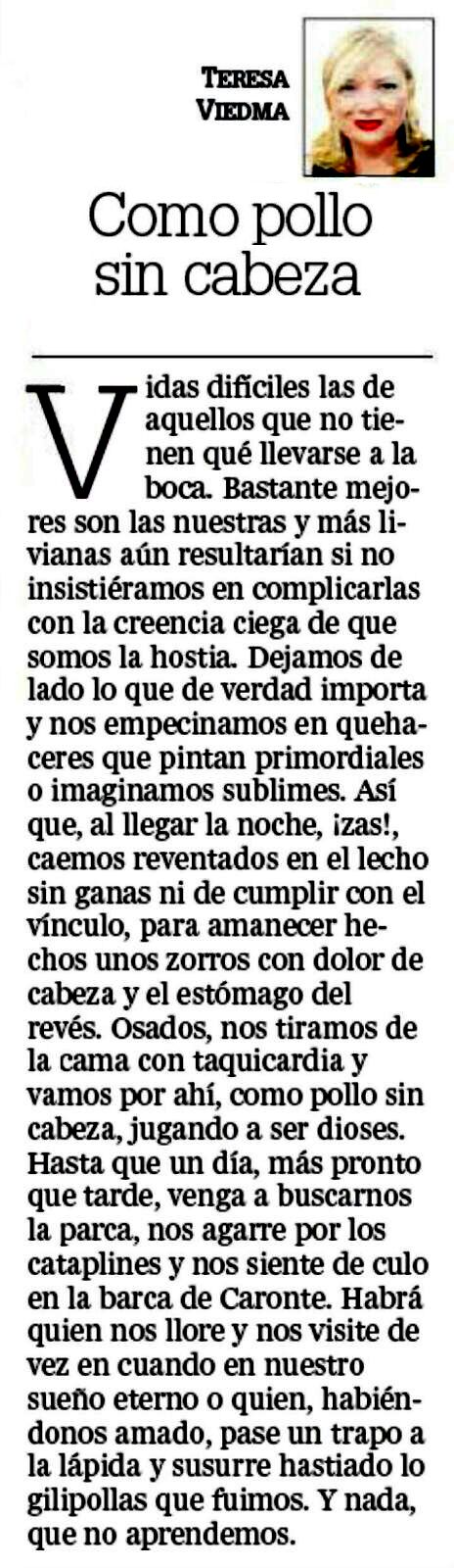 como-pollo-sin-cabeza